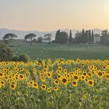 Casa Le Rondini Toscana Bed & Breakfast