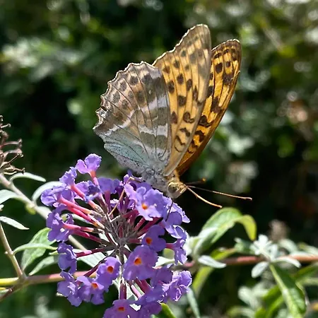 Casa Le Rondini Toscana 3* Bucine